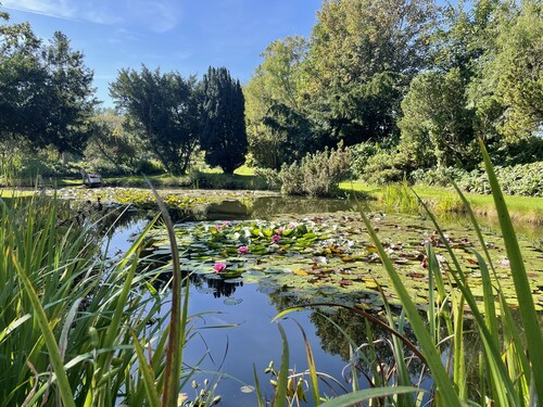 Fewo Froschkönig am Wattenmeer, Kinder- und Tierfreundliche Unterkunft