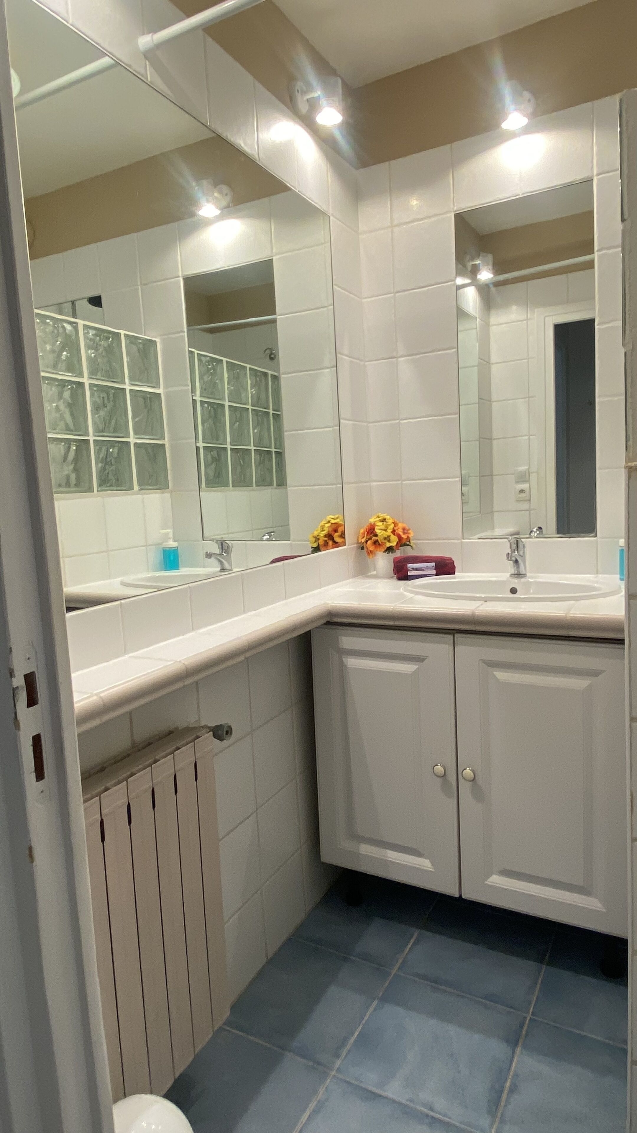 Douche, séchoir à cheveux, serviettes fournies, savon