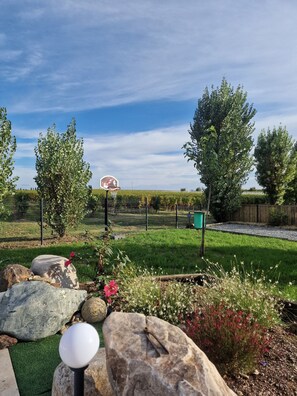 Property grounds - La Grange des Vignes Maison vue sur la Vallée aux Milieux des Domaines de vin (Pomport)