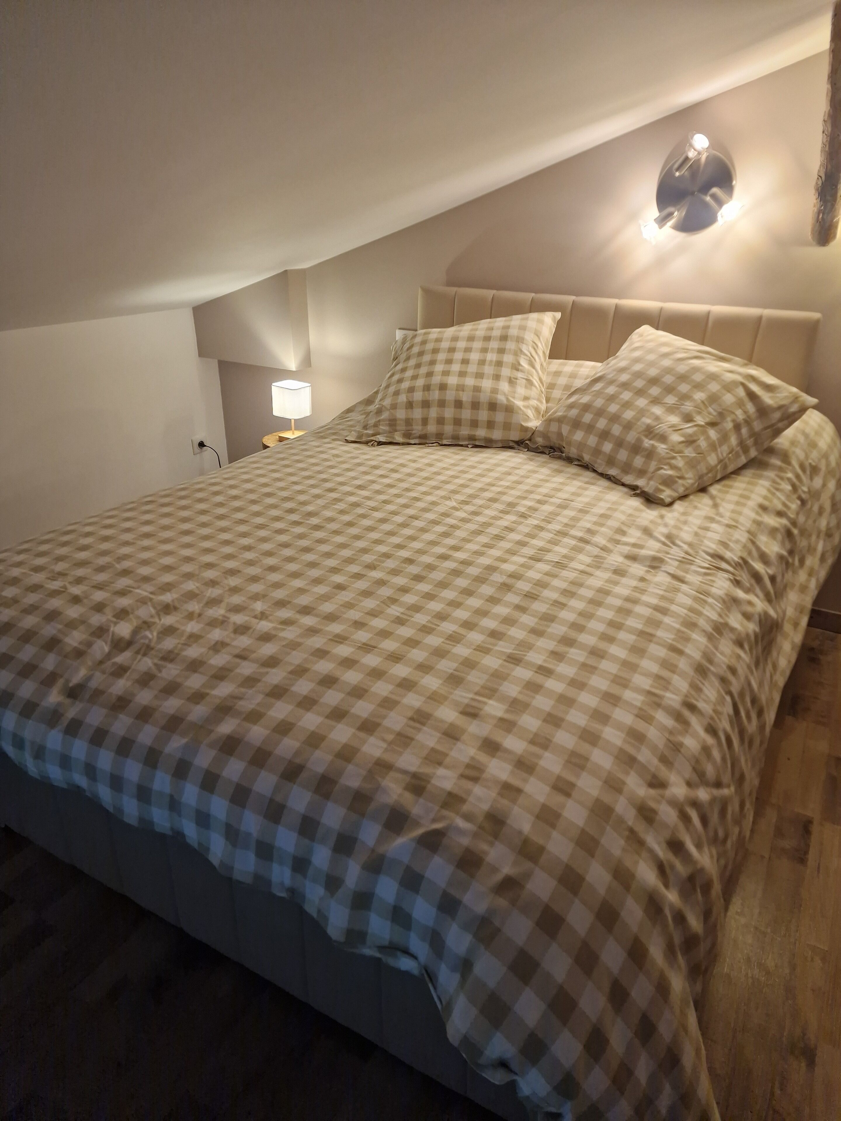 A bedroom with a checkered bedspread, a headboard, and a bedside lamp.