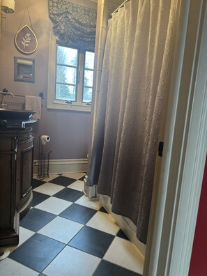 Hair dryer, towels, toilet paper