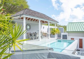 Outdoor pool - Modern 3-bedroom Penthouse apt, private pool, a/c, sun deck, garden and parking (Piccadilly)