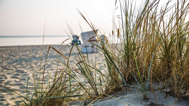 A beach with sand and grass in the foreground. - Tiny Haus am Meer (Heringsdorf)