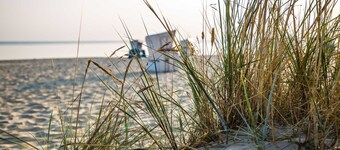 Tiny Haus am Meer