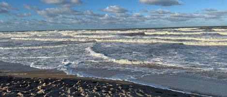Ligstoelen aan het strand