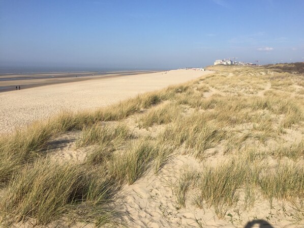 Sun-loungers - Maison de Vacances en Bordure de Bois et Mer, Terrasse et Jardin Plein sud ! (Zuienkerke)