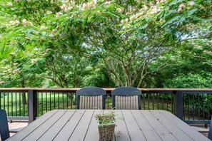 Outdoor dining - Secluded 5 BR Modern Cabin, 120 acres. New River Trail, Claytor Lake, VA tech (Draper)