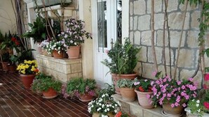 Un espacio exterior cubierto con pared de piedra y suelo de baldosas, decorado con plantas en macetas y una puerta.