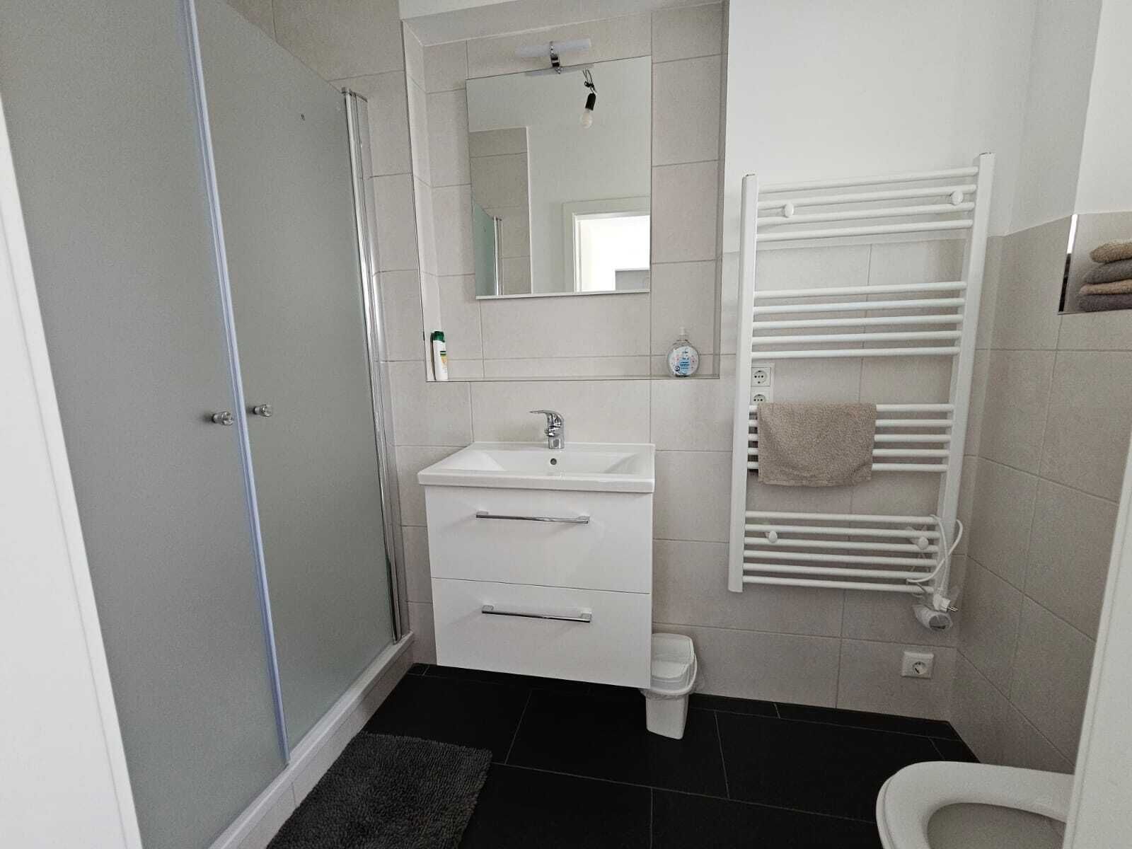 Dusche, Haartrockner, Handtücher, Seife