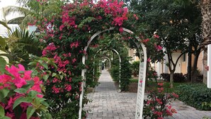 Ein Gartenweg mit einem weißen Torbogen, der in rosa Blüten gewachsen ist.