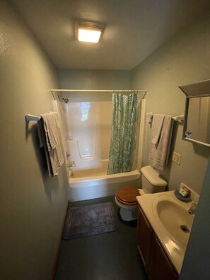 Towels, soap, shampoo, toilet paper - Mountain View Apartment  (Elkins)