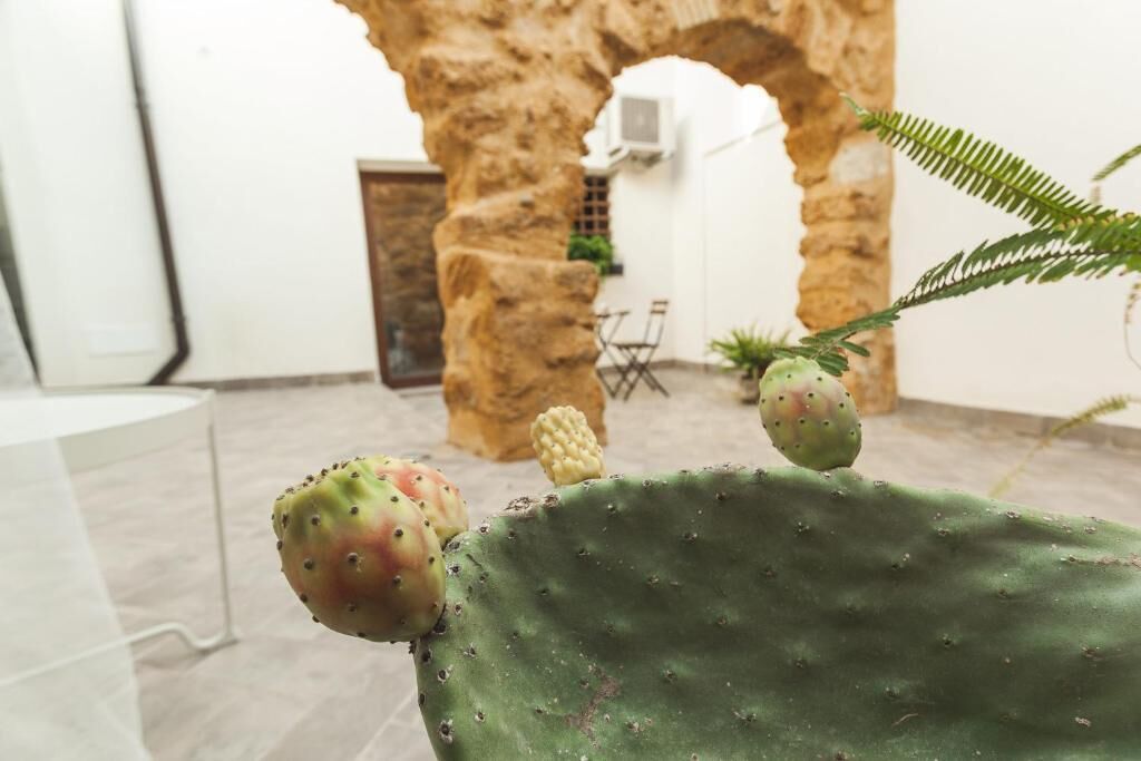 A cactus with multiple fruits in a room with a stone archway, a table, and a chair.
