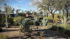 Ein Garten mit verschiedenen Pflanzen und einem roten Gebäude im Hintergrund.