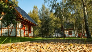 A traditional wooden house with a sloped roof, surrounded by trees and a gravel path. - Beach front home in Rowy with WiFi (Rowy)