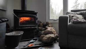 Une pièce chaleureuse avec un poêle à bois, un canapé en cuir, un fauteuil et une fenêtre donnant sur la forêt.