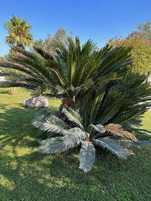 Jardines del alojamiento