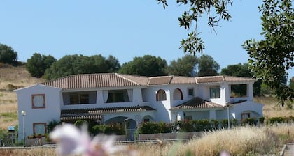 casa a 800 metri dal mare tra porto san paolo e san teodoro isola tavolara