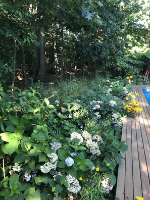 Property grounds - Terrific 4 bedroom house in East Hampton with AC, WiFi- share (East Hampton)