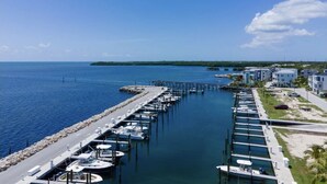 A marina with boats docked, a pier, and buildings along the waterfront. - New Listing Sea Side Paradise.  Best of Key Largo! (Key Largo)