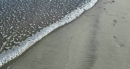 < 350 ft to Beach/Ocean View/Family Friendly/Elevator/Linens Included