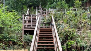A wooden staircase leading up to a wooden platform, surrounded by dense greenery and a wooden fence. - Cozy Cabin on Lake Sutherland with hot tub, huge dock and kayaks! (Port Angeles)
