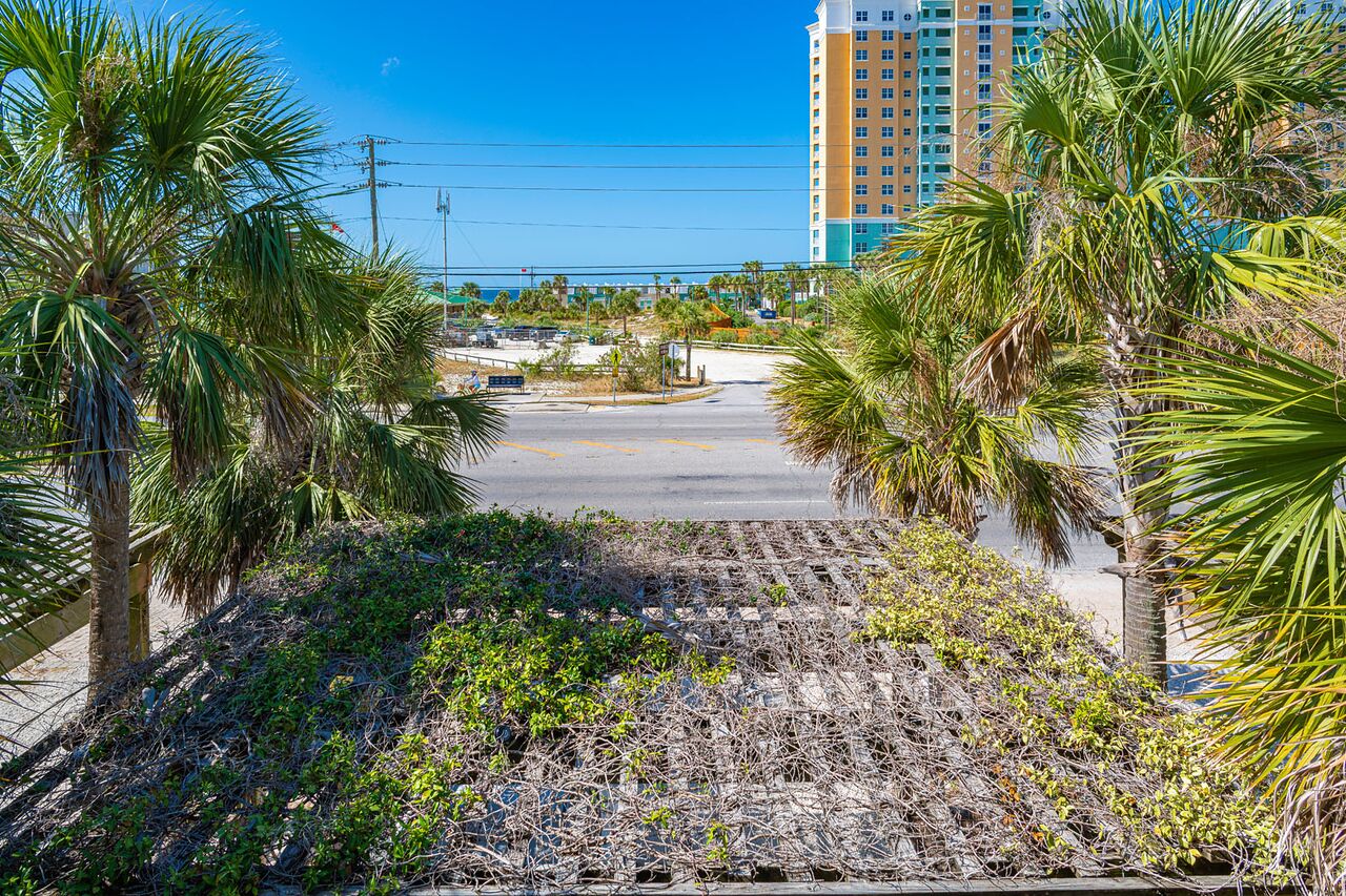 A view of a road leading to a building with a parking lot and palm trees.