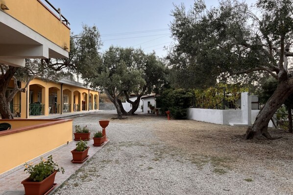 Ein Innenhof mit einem gelben Gebäude, Olivenbäumen und Topfpflanzen.