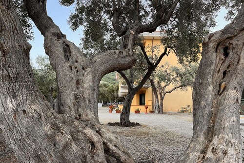 Cozy and modern apartment by the sea