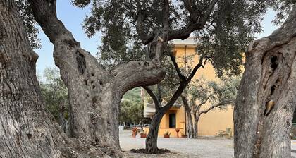 Appartement confortable et moderne en bord de mer