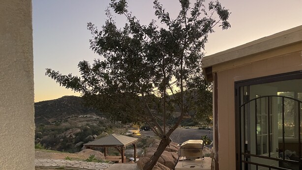 A patio area with a tree, a fan, and a small structure. - Affordable guest house  (Perris)