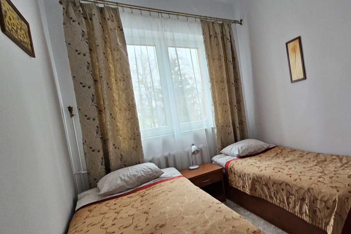 A bedroom with two single beds, a wooden chair, a nightstand, a lamp, and a window with curtains.