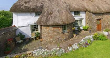 East Titchberry: Thatched cottage charm, log fire, garden, wild coastal walks!