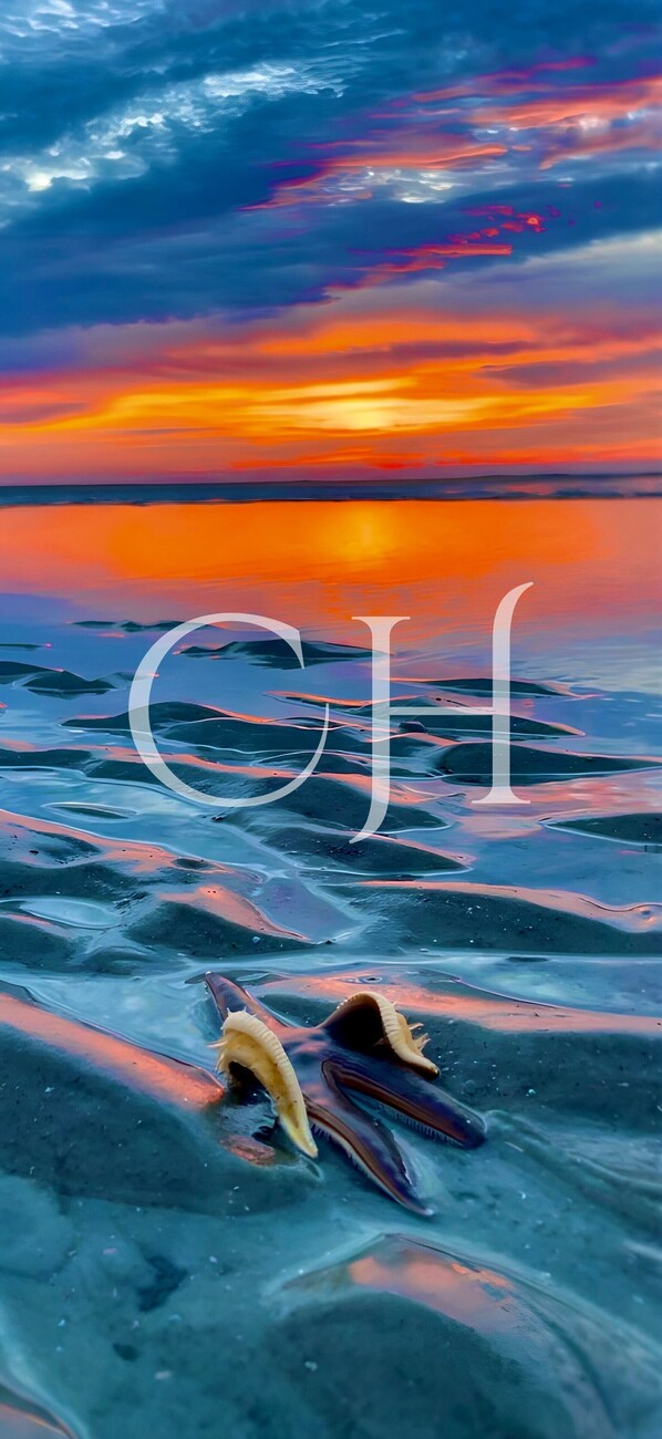 Liegestühle, Strandtücher