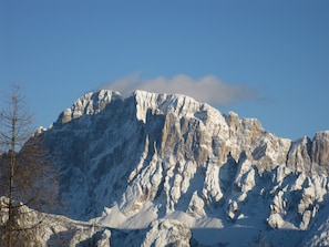 Miscellaneous - Regina 3 (Alleghe)