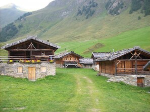 Ulkopuoli