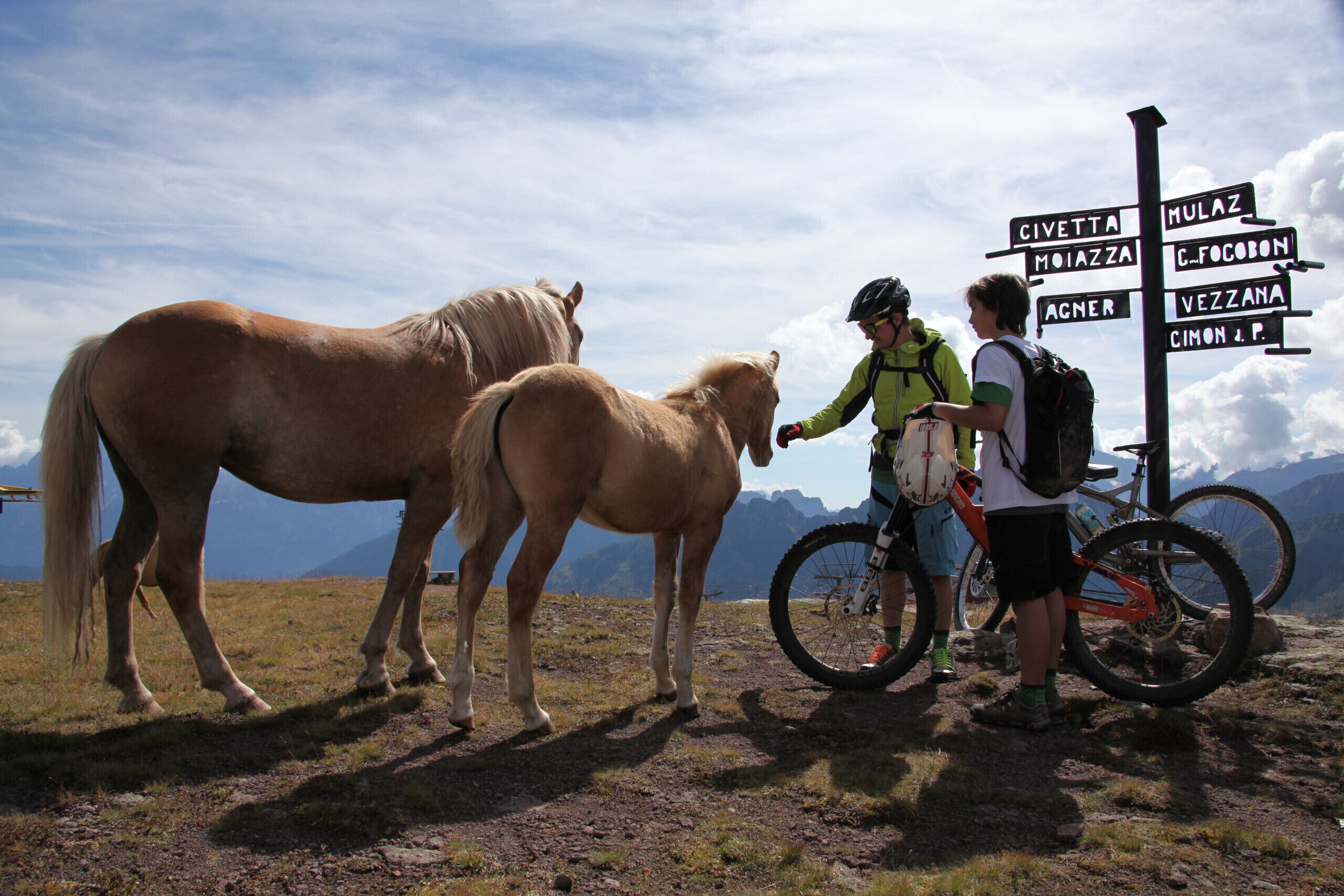 Dos caballos en un sendero de montaña con un indicador señalando direcciones a varios lugares.