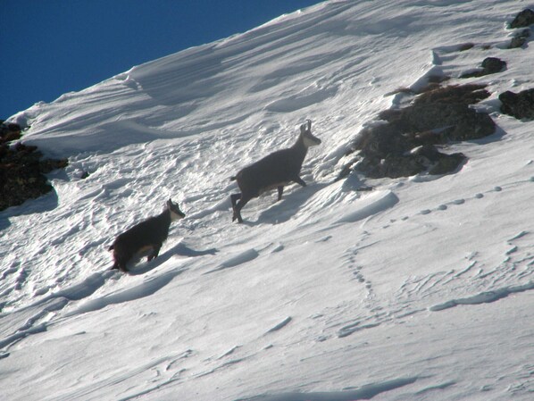 Unclassified image, 1 of 29, button