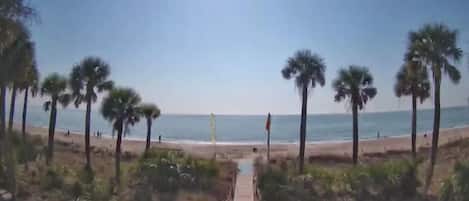 Playa