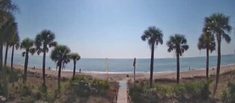 Renovated Edisto Beach Pets OK Mini Golf Pools Golf Cart Pickleball w/Amenities