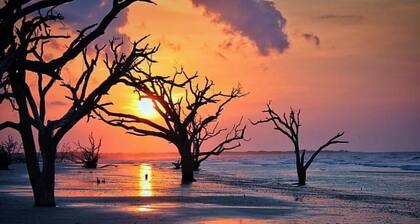 Renovated Edisto Beach Pets OK Mini Golf Pools Golf Cart Pickleball w/Amenities