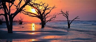 Renovated Edisto Beach Pets OK Mini Golf Pools Golf Cart Pickleball w/Amenities