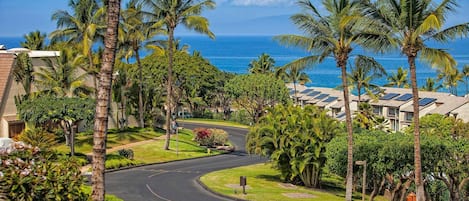 A coastal road lined with palm trees and a view of the ocean.