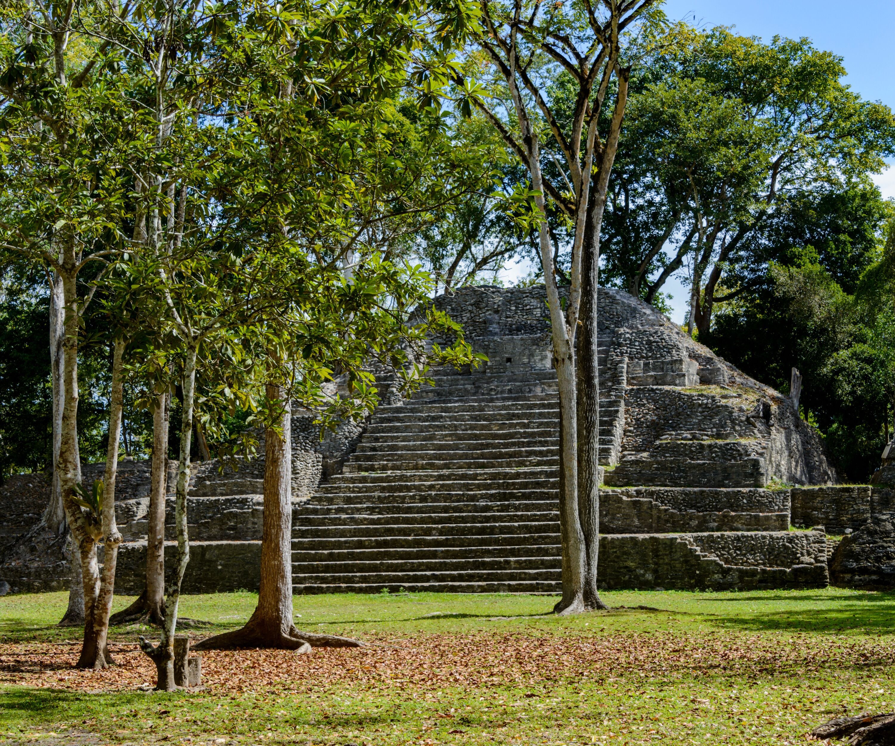 Una estructura piramidal de piedra con escalones que conducen a ella, rodeada de árboles.