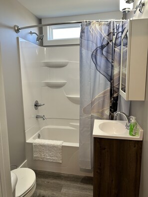 Assecador de cabells, tovalloles, sabó i xampú