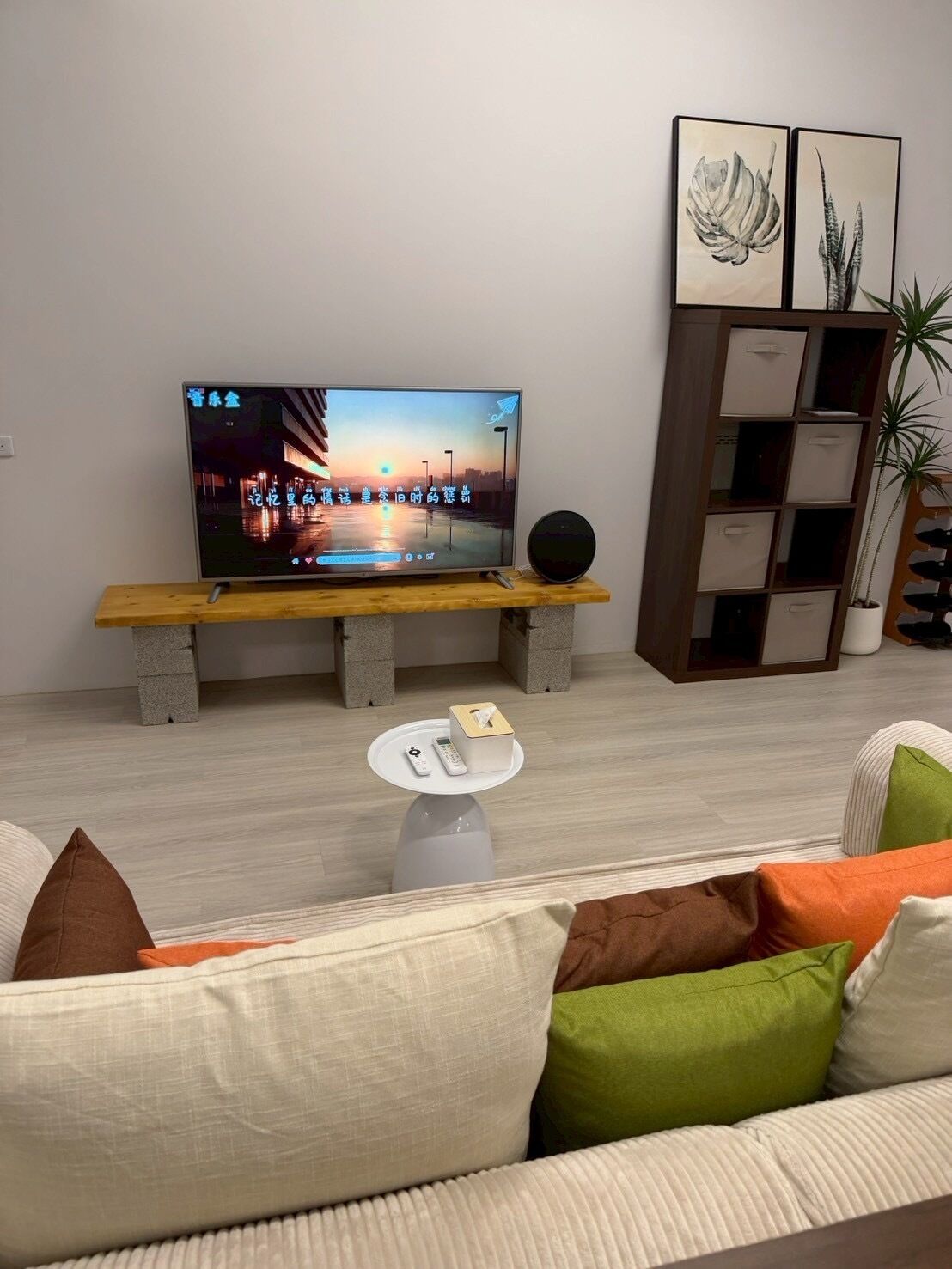 A living room with a TV on a stand, a small table with a remote and tissues, a sofa with cushions, and a bookshelf with plants.