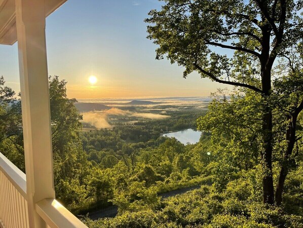 A view from a balcony overlooking a forested landscape with a body of water and a distant horizon.
