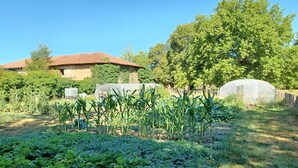 A garden with various plants, a greenhouse, and a rustic building with a tiled roof.