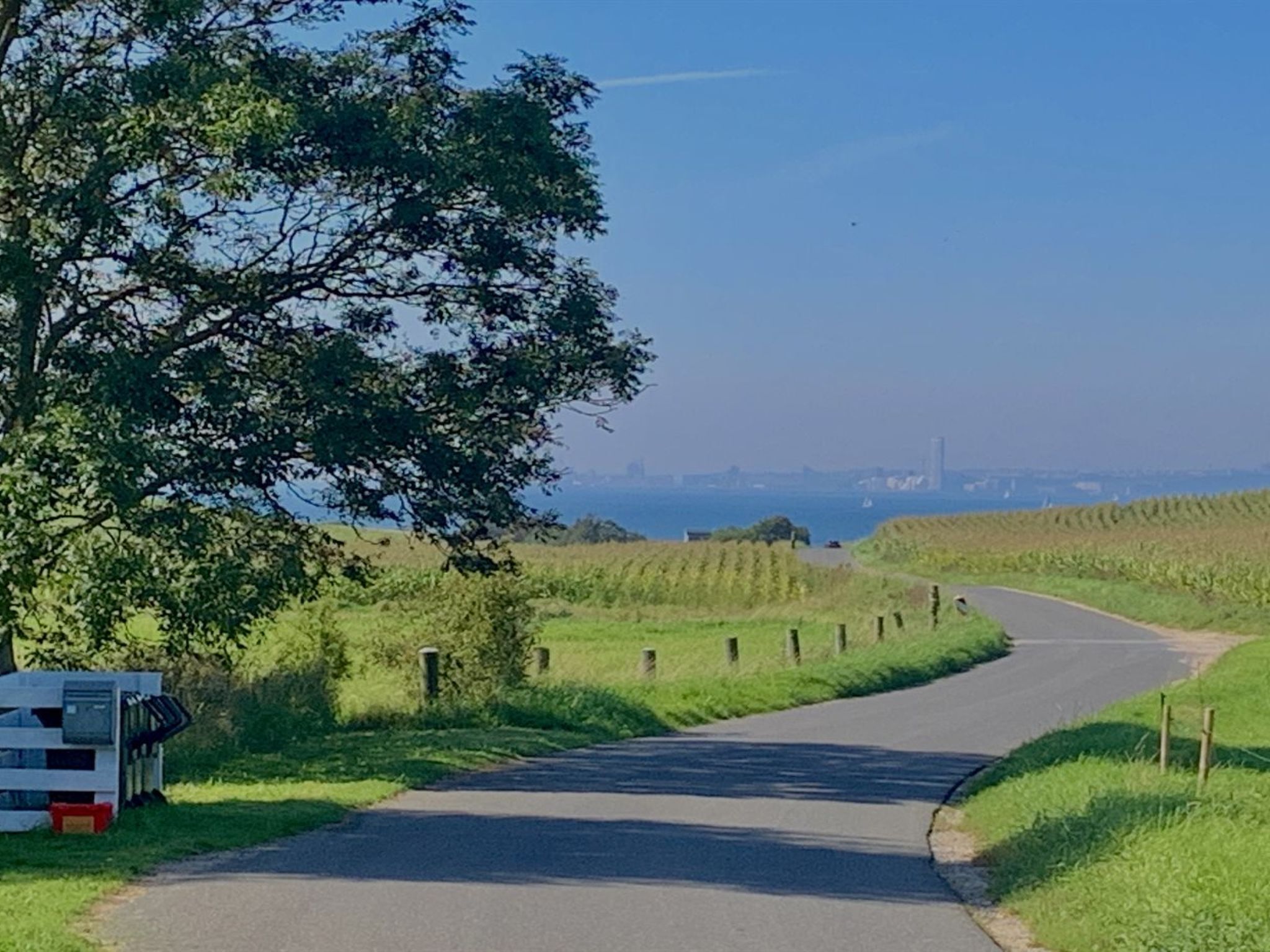 A rural road curving through green fields with a distant city skyline.