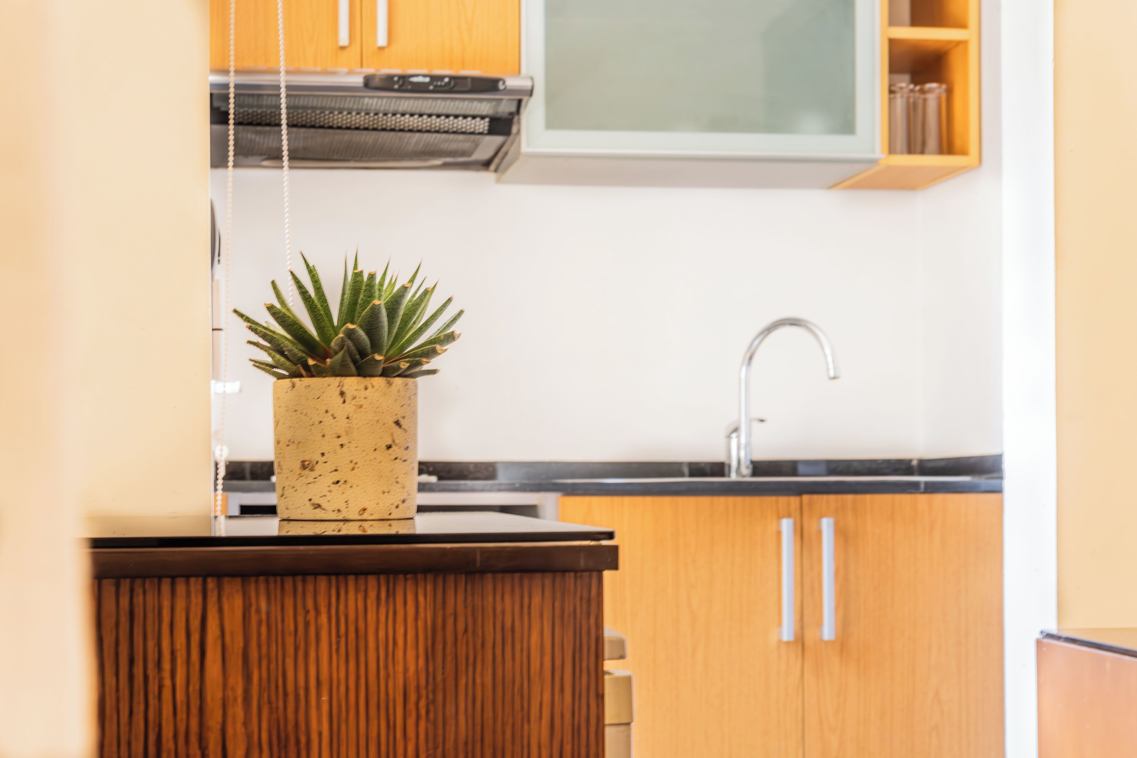 A kitchen with wooden cabinets, a stainless steel sink, and a potted plant on the counter.