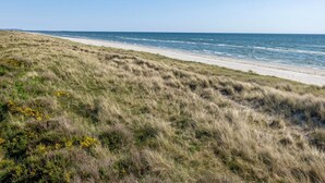 A beach with grassy dunes and a clear view of the ocean.